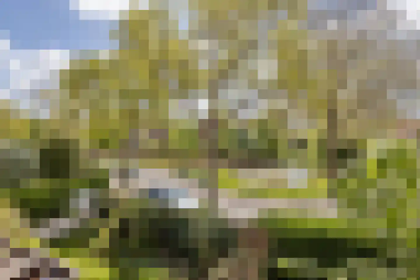 Park de Griffioen 18 Middelburg thumbnail 16
