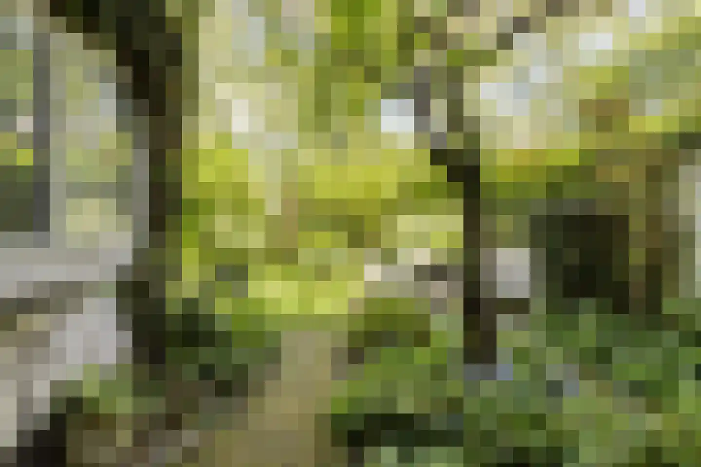 Park de Griffioen 18 Middelburg thumbnail 35