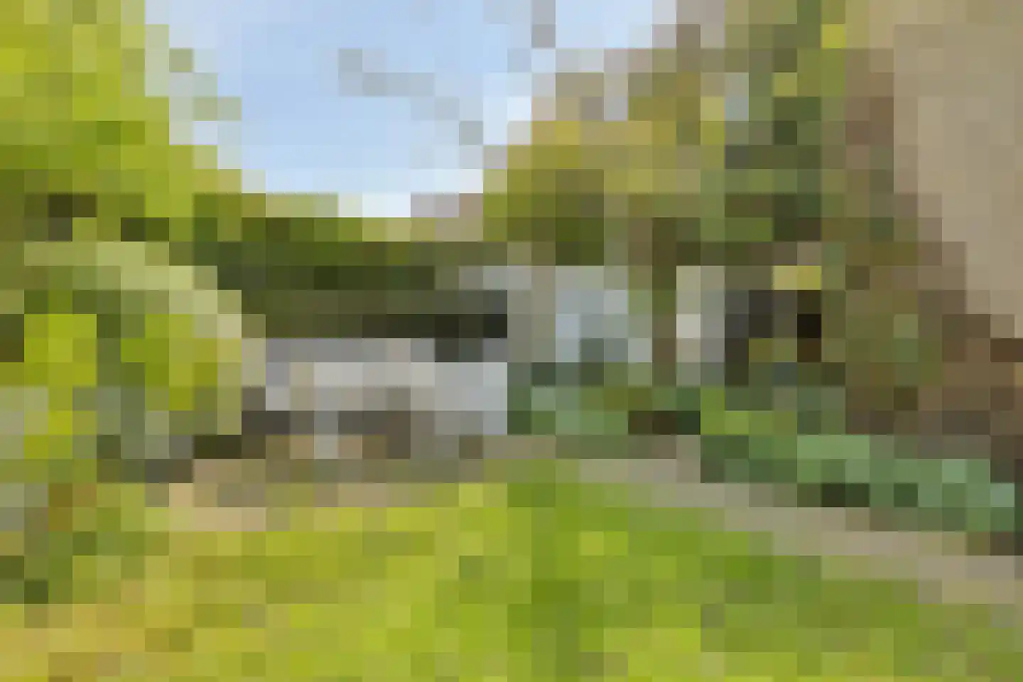 Park de Griffioen 18 Middelburg thumbnail 39