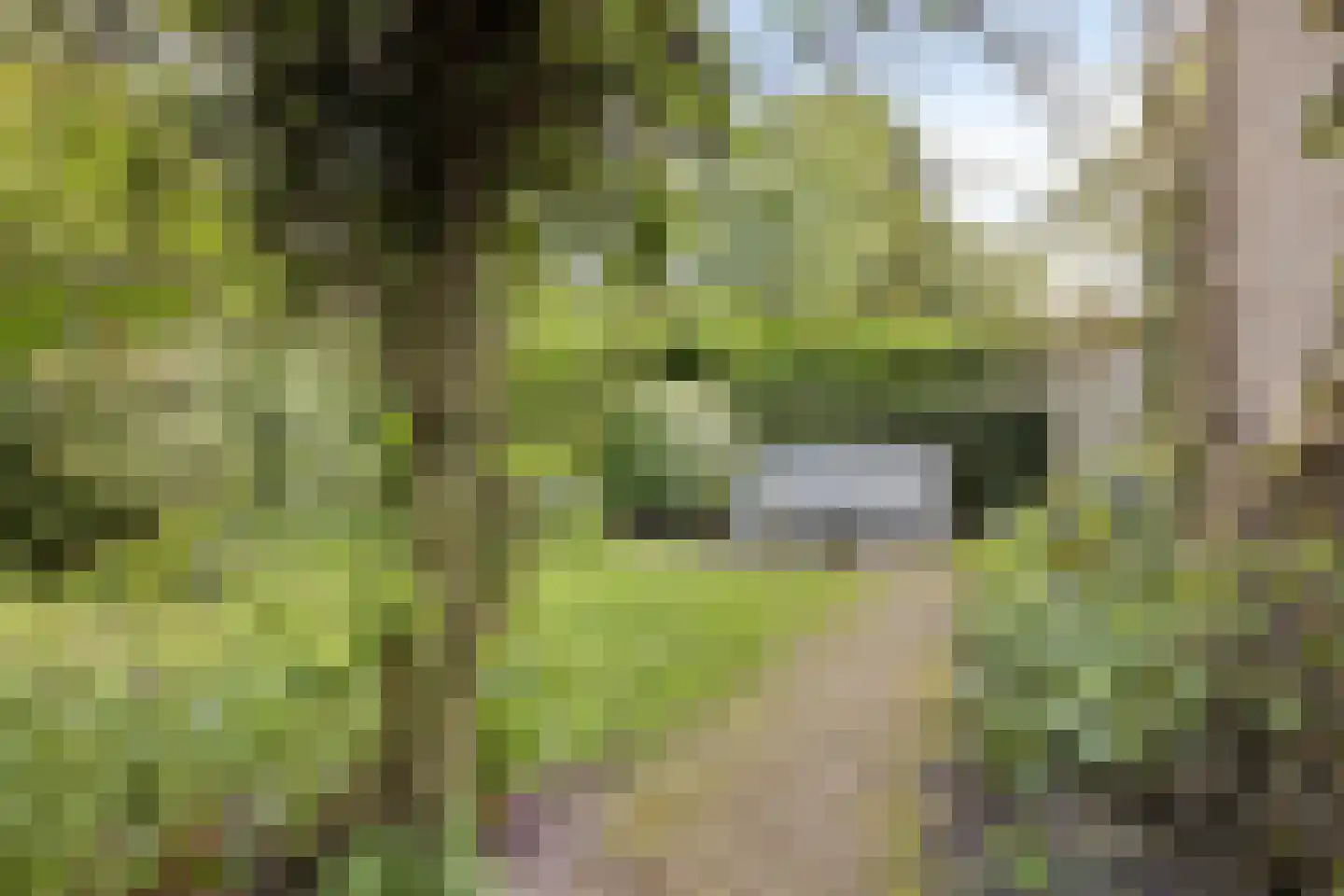 Park de Griffioen 18 Middelburg thumbnail 40
