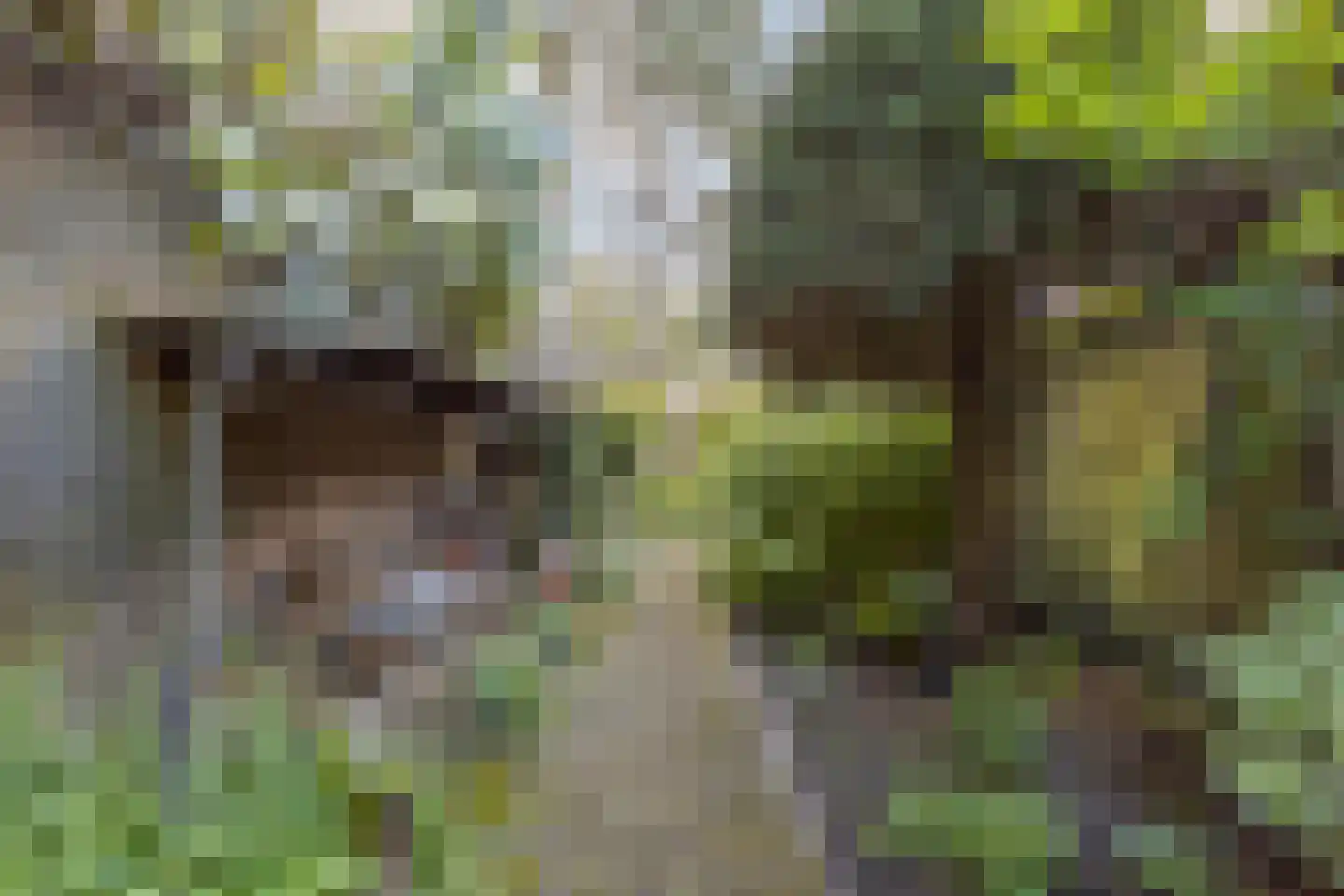 Park de Griffioen 18 Middelburg thumbnail 41