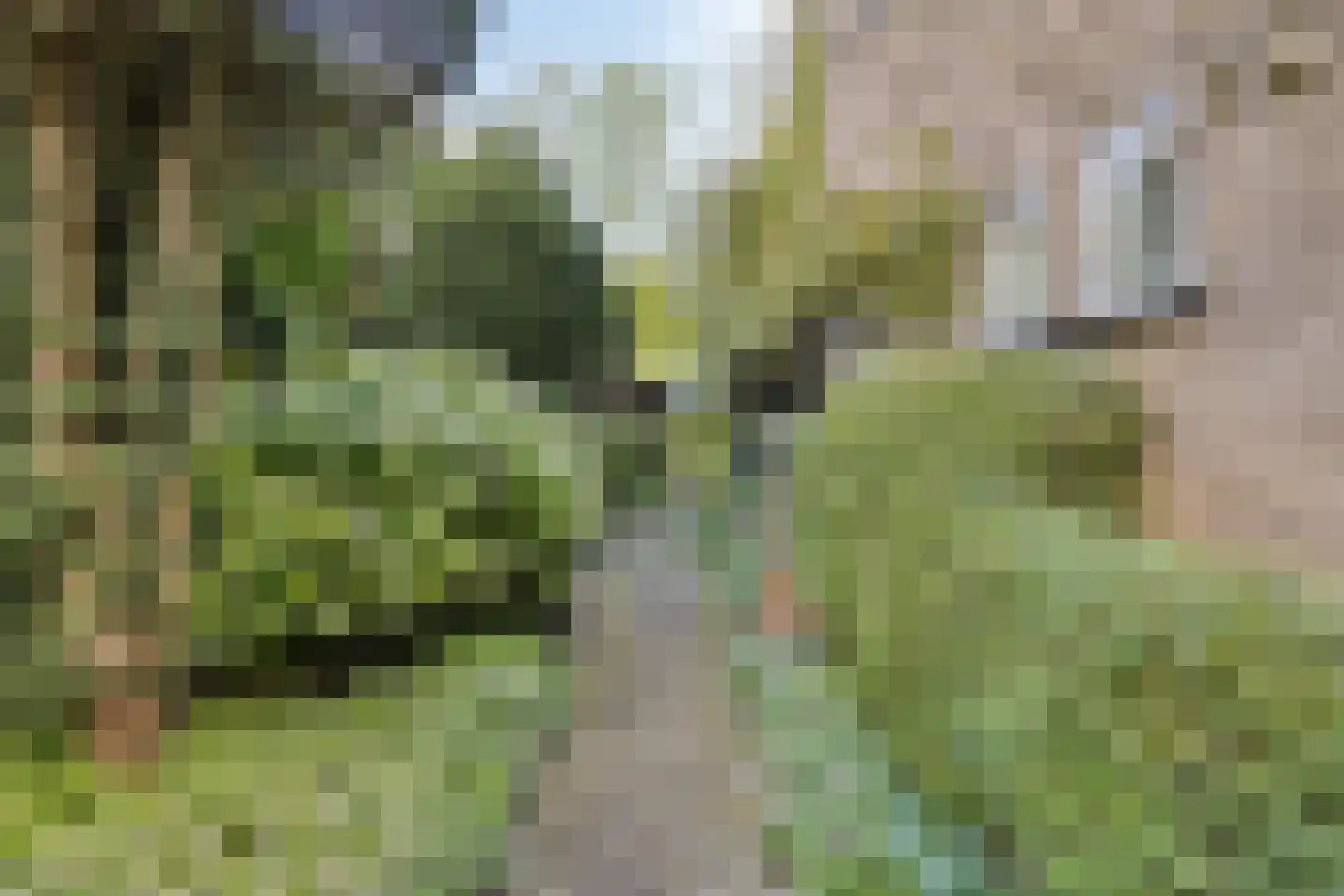 Park de Griffioen 18 Middelburg thumbnail 42