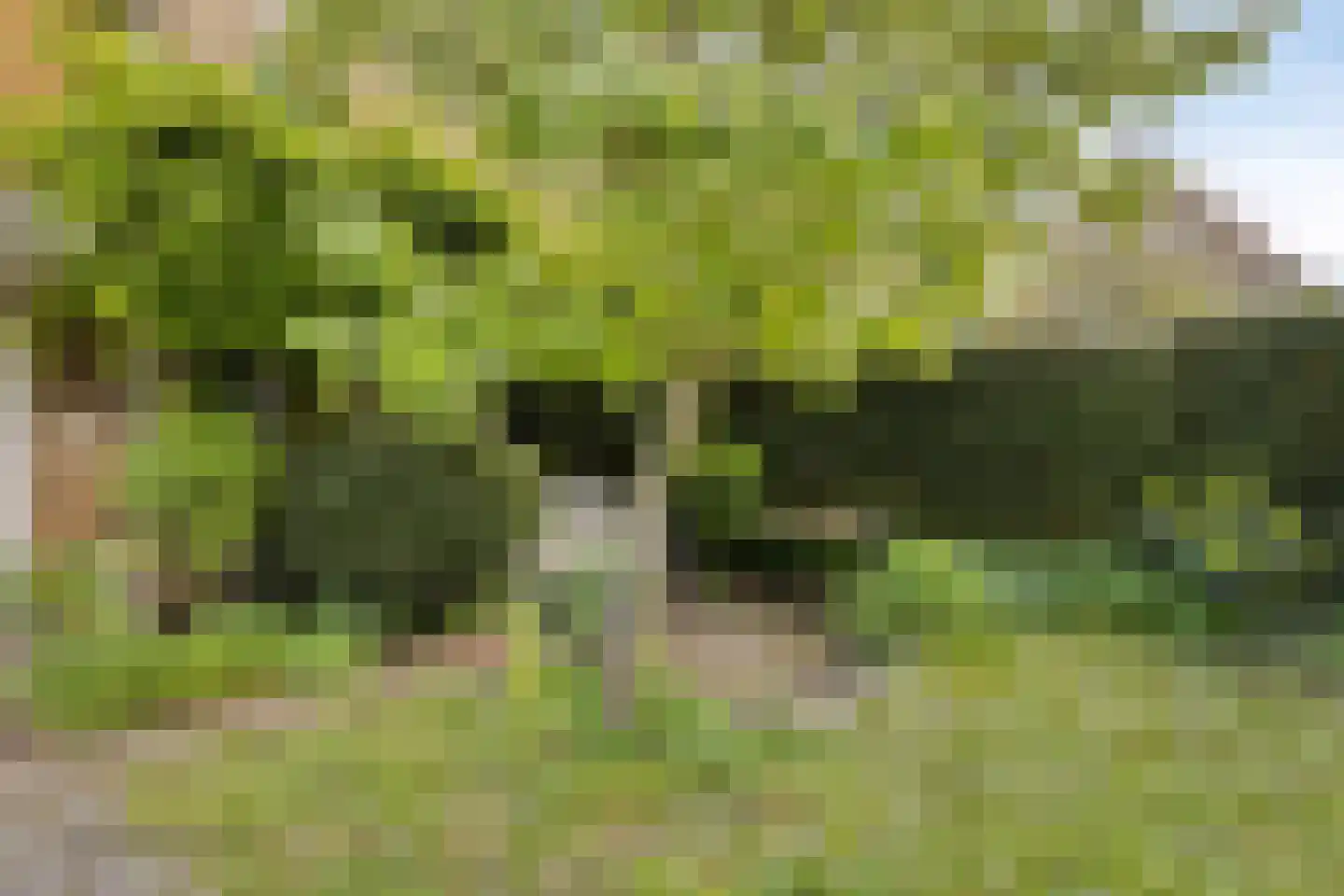 Park de Griffioen 18 Middelburg thumbnail 43