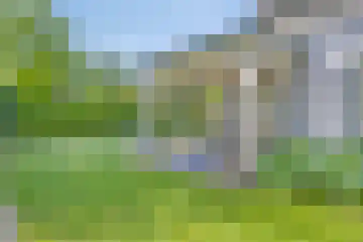 Park de Griffioen 20 Middelburg thumbnail 28
