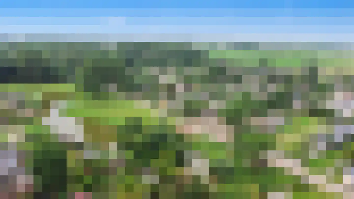Park De Horn 1 722 Dirkshorn thumbnail 21