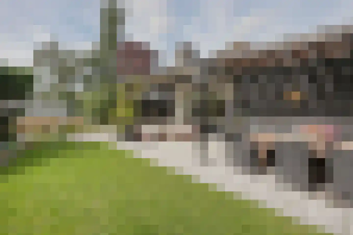 Park De Horn 109 Dirkshorn thumbnail 28