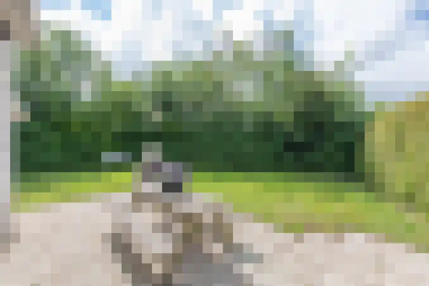 Park De Horn 111 Dirkshorn thumbnail 30