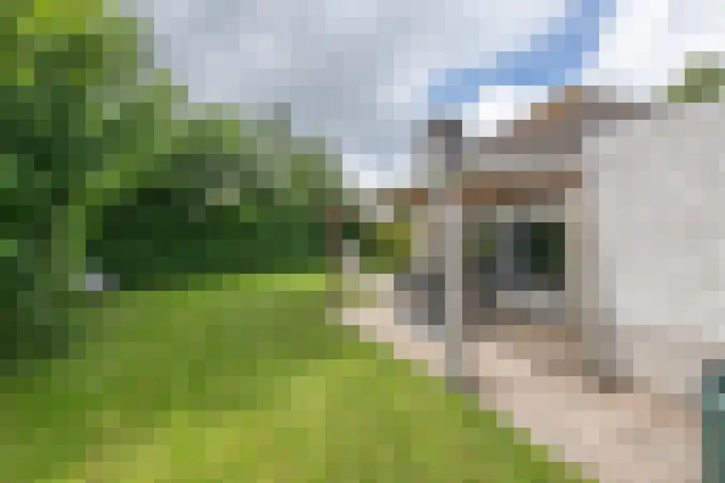 Park De Horn 111 Dirkshorn thumbnail 37