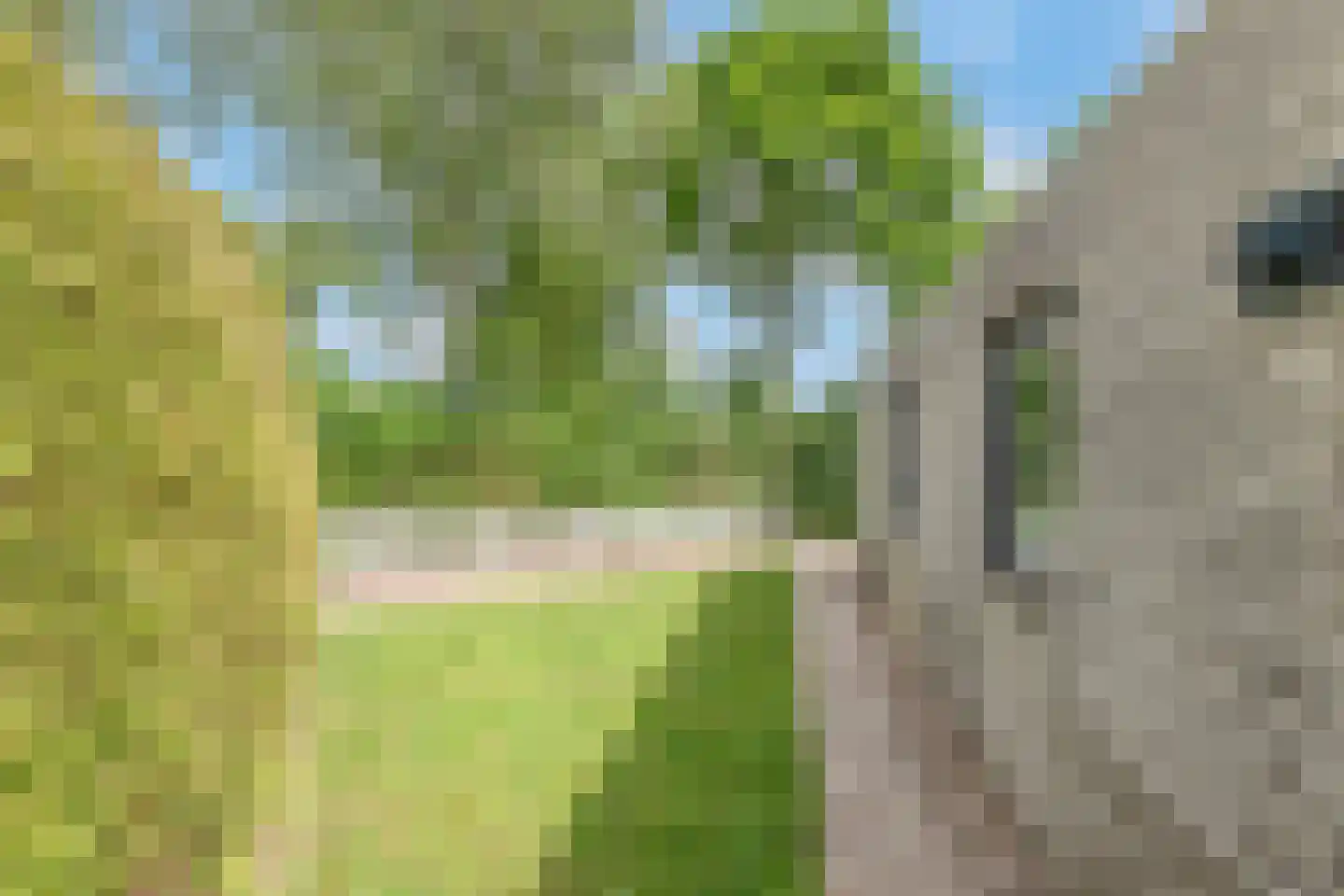 Park De Horn 111 Dirkshorn thumbnail 38