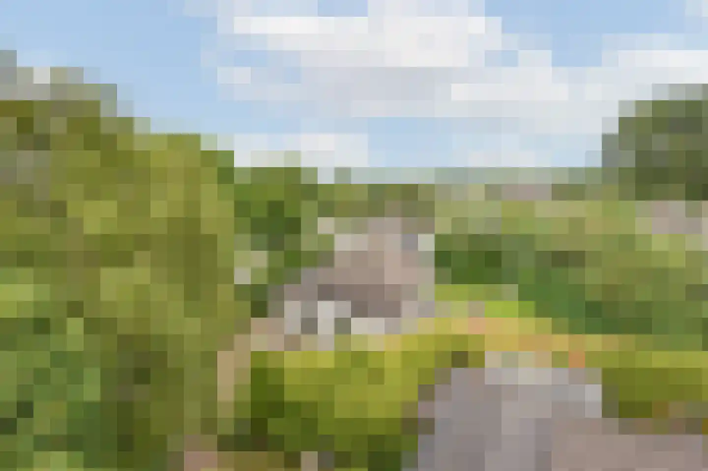 Park De Horn 111 Dirkshorn thumbnail 44