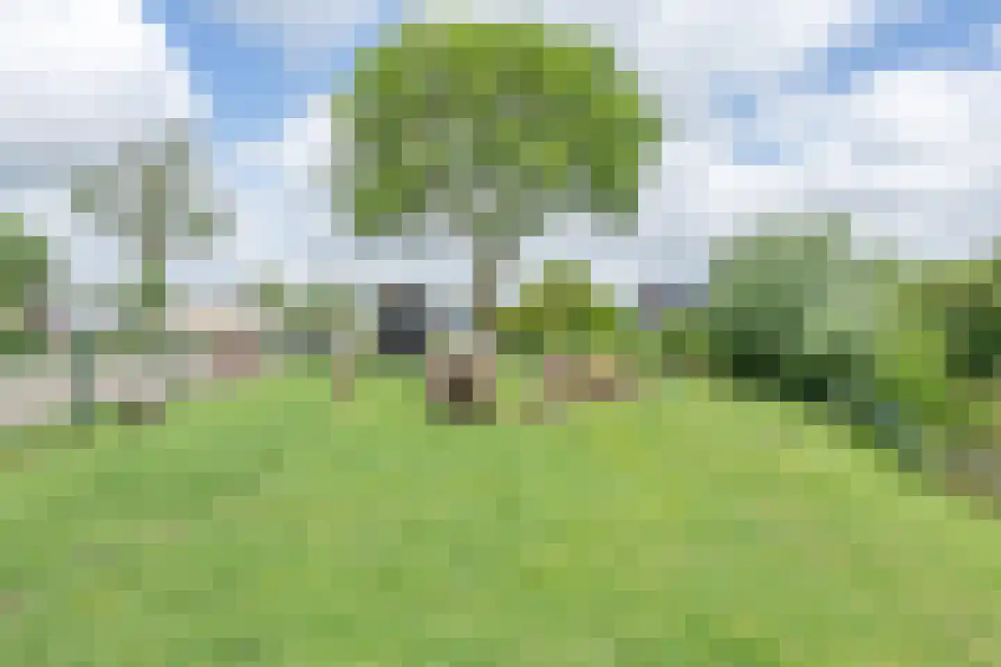 Park De Horn 111 Dirkshorn thumbnail 47
