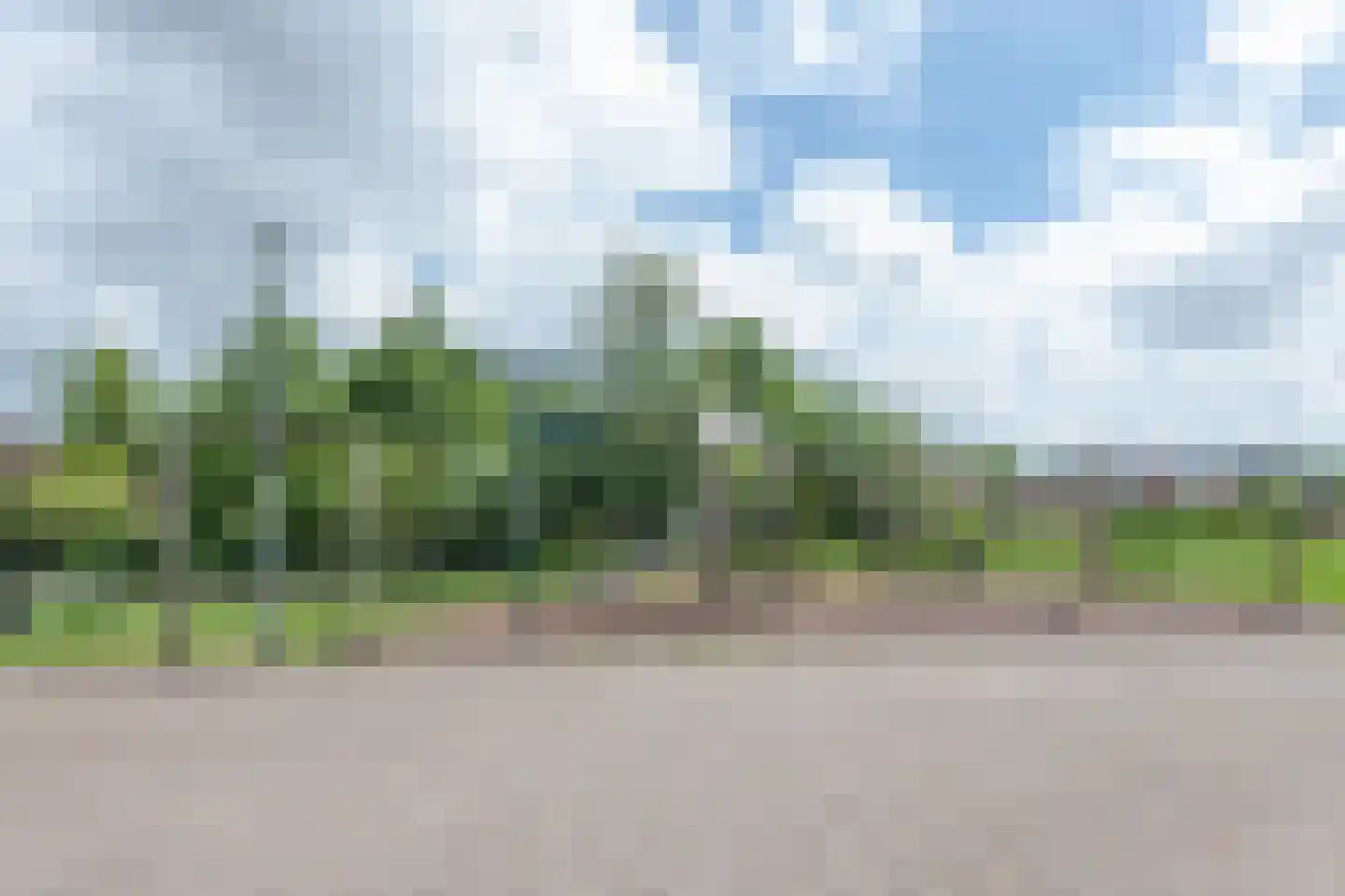 Park De Horn 111 Dirkshorn thumbnail 48