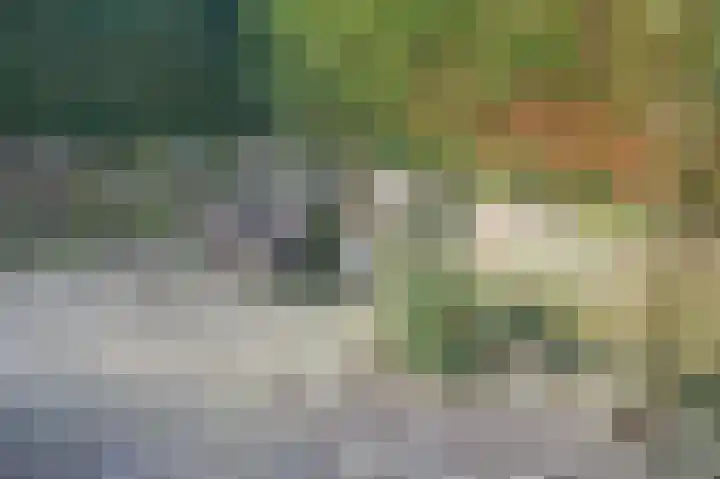 Park De Horn 124 Dirkshorn thumbnail 39