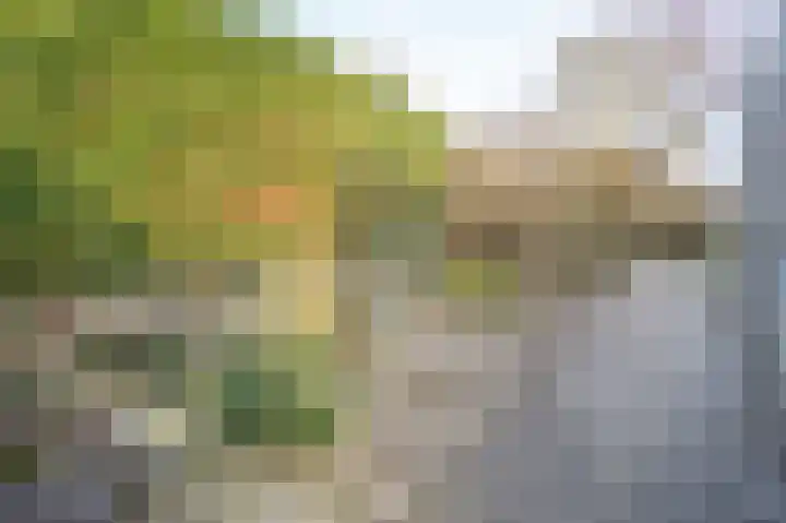 Park De Horn 124 Dirkshorn thumbnail 41