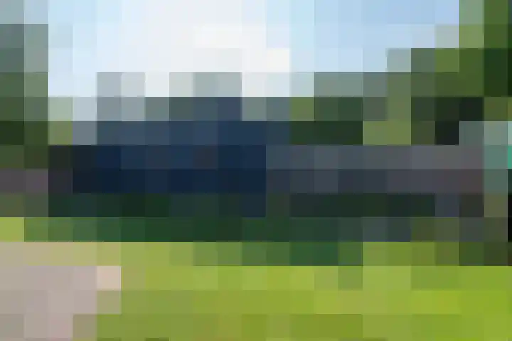 Park De Horn 185 Dirkshorn thumbnail 29