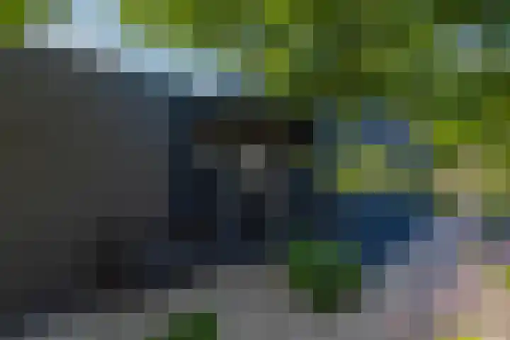 Park De Horn 185 Dirkshorn thumbnail 30