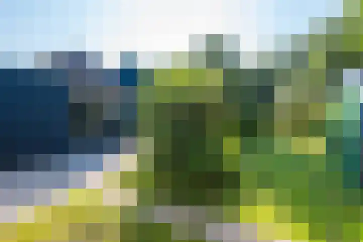 Park De Horn 185 Dirkshorn thumbnail 33