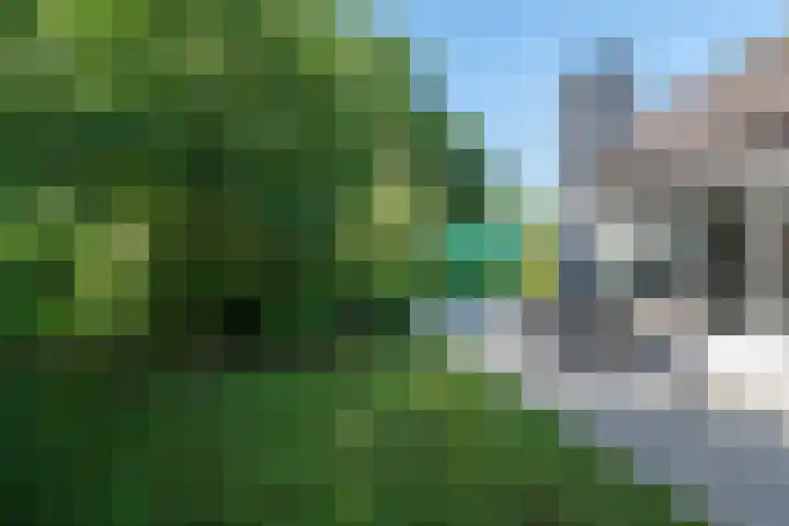 Park De Horn 185 Dirkshorn thumbnail 35