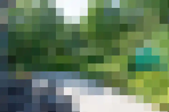 Park De Horn 185 Dirkshorn thumbnail 36