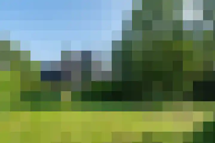 Park De Horn 185 Dirkshorn thumbnail 5