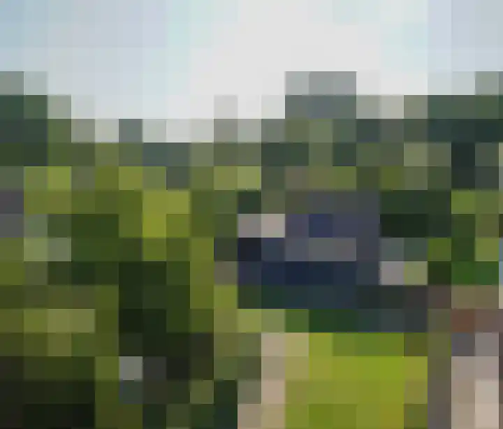 Park De Horn 185 Dirkshorn thumbnail 6