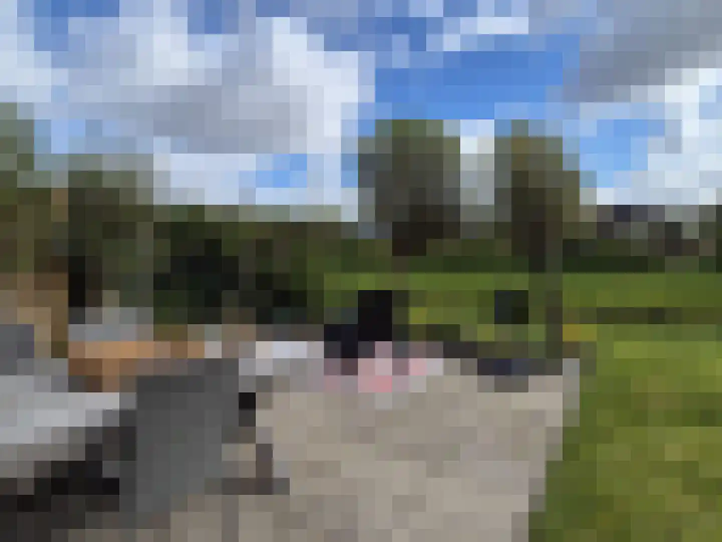 Park De Horn 462 Dirkshorn thumbnail 19