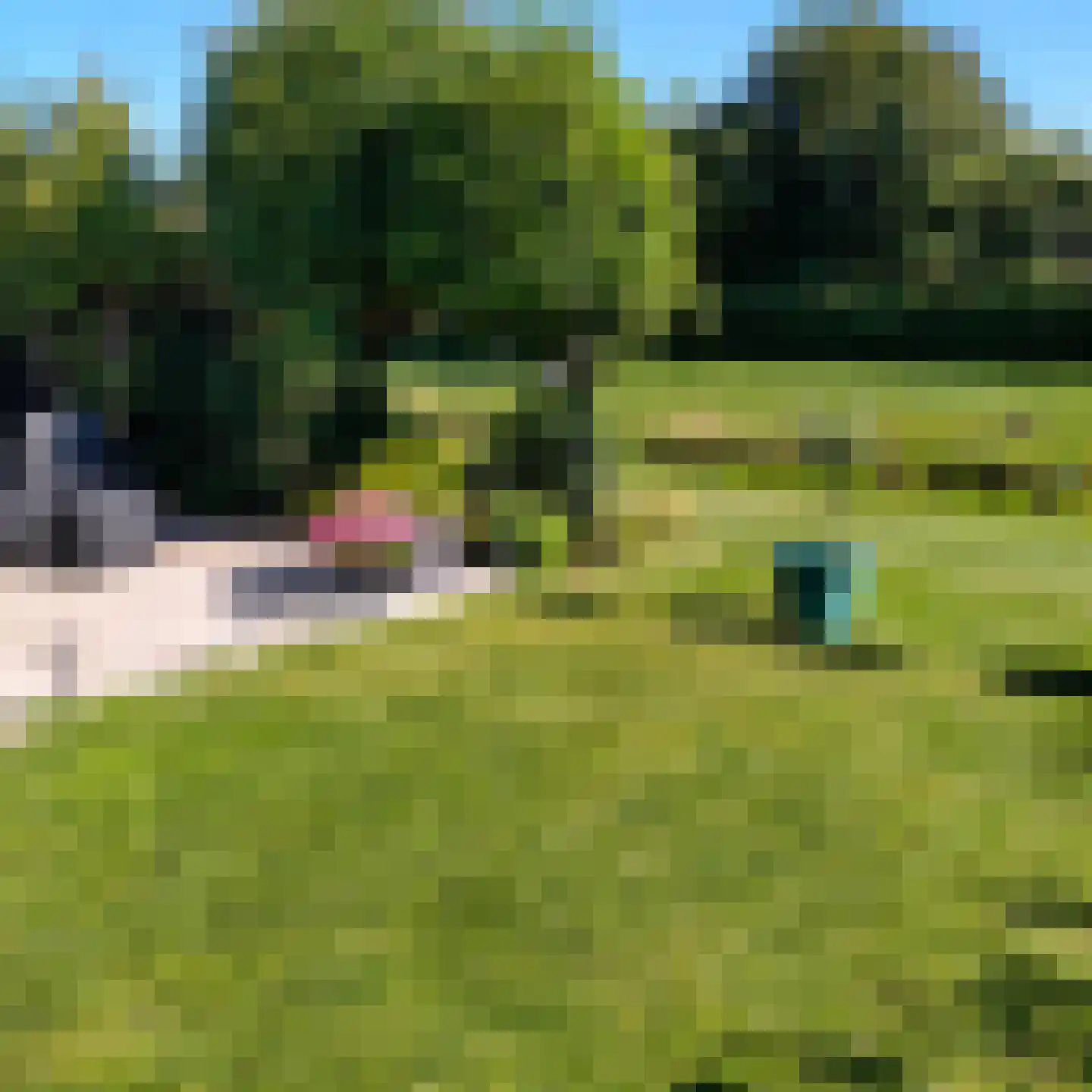 Park De Horn 462 Dirkshorn thumbnail 22