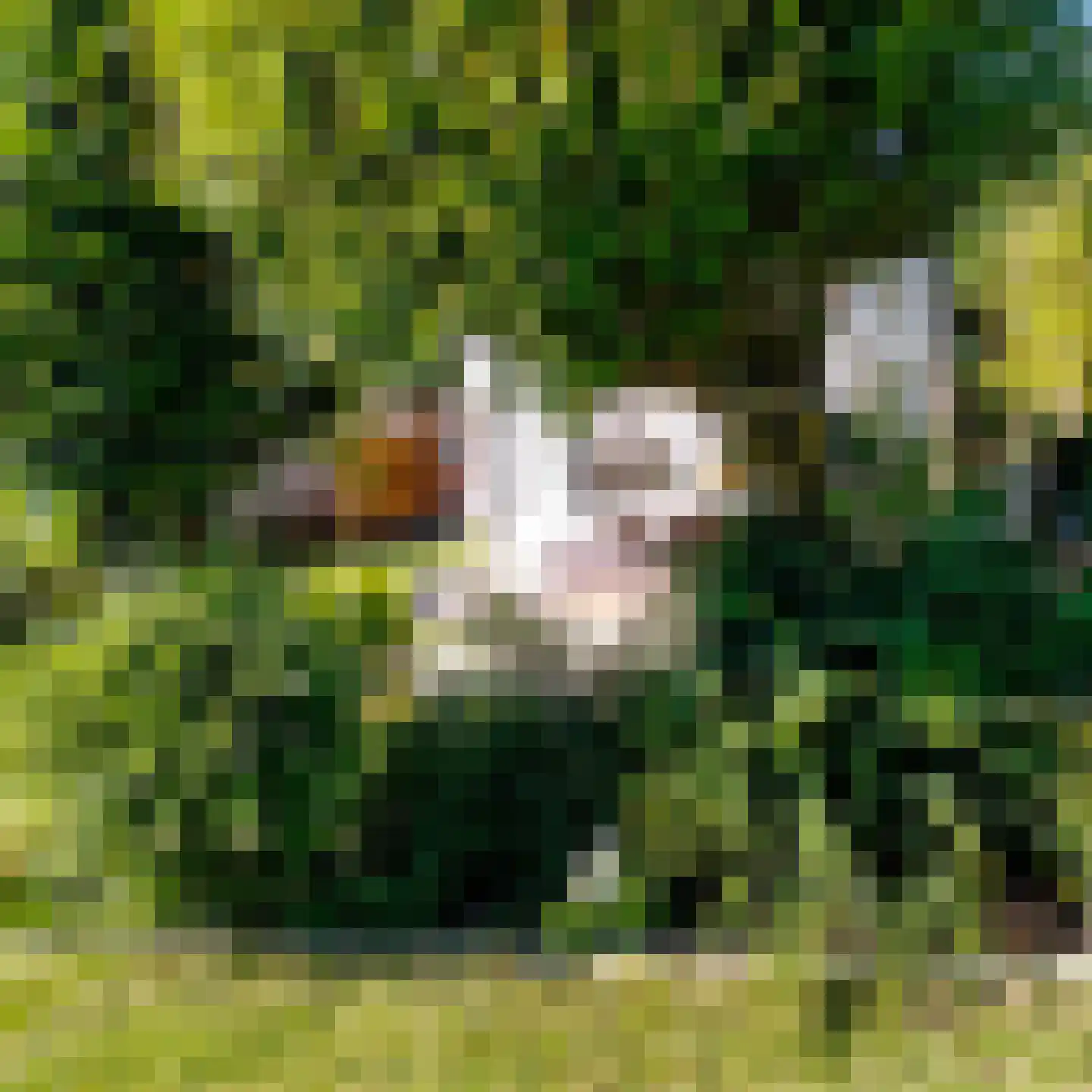 Park De Horn 462 Dirkshorn thumbnail 23
