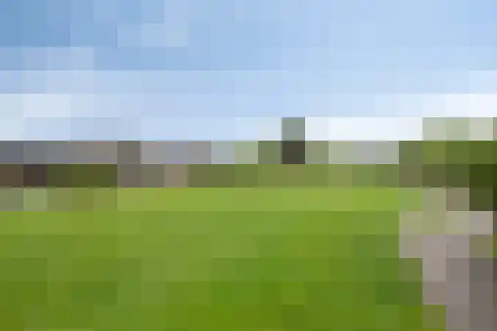 Park De Horn 507 Dirkshorn thumbnail 20