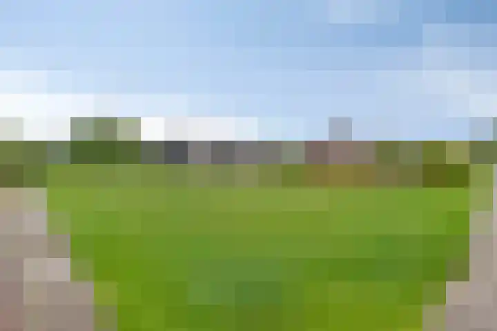 Park De Horn 507 Dirkshorn thumbnail 21