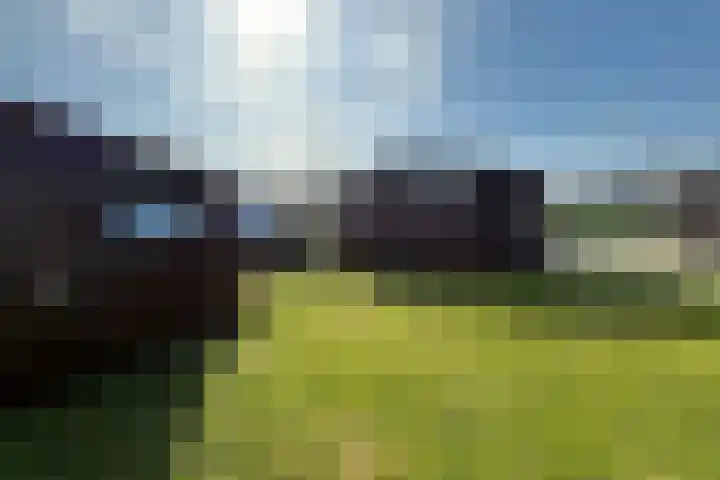 Park De Horn 764 Dirkshorn thumbnail 11