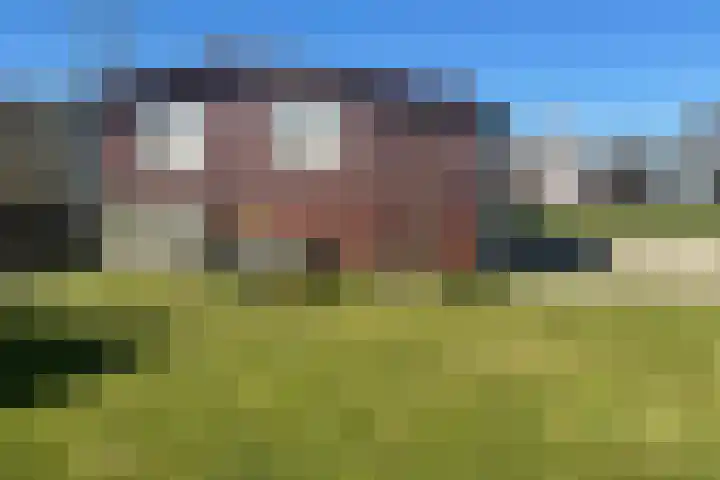 Park De Horn 764 Dirkshorn thumbnail 4