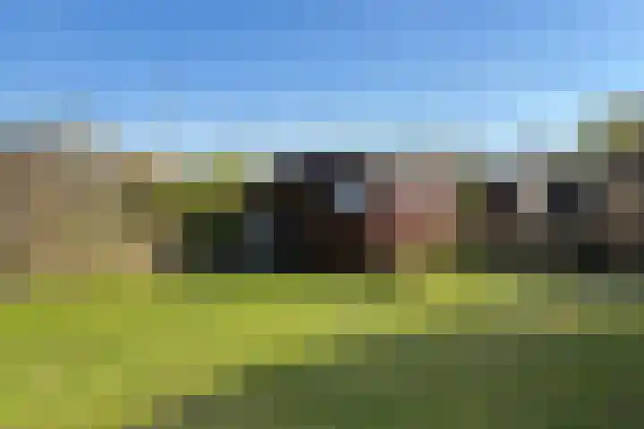 Park De Horn 764 Dirkshorn thumbnail 5