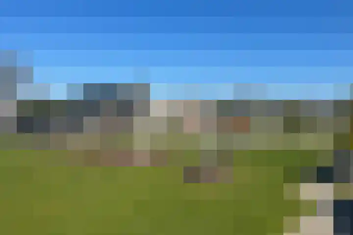 Park De Horn 764 Dirkshorn thumbnail 8