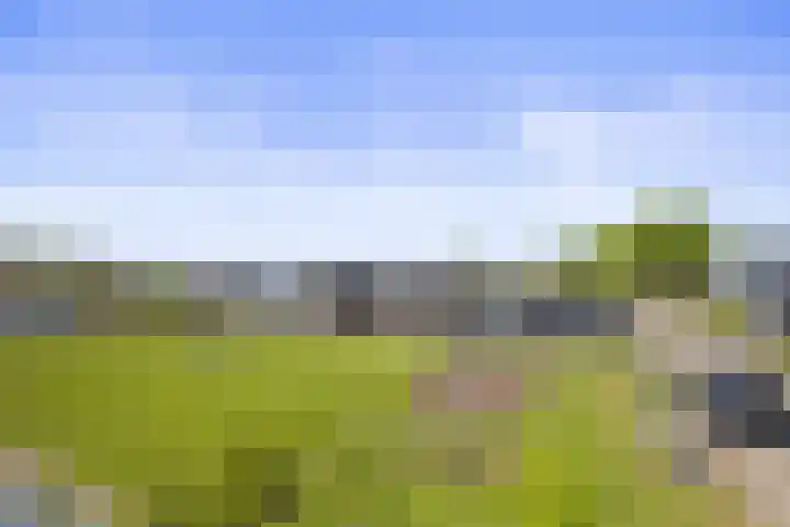 Park De Horn 766 Dirkshorn thumbnail 18