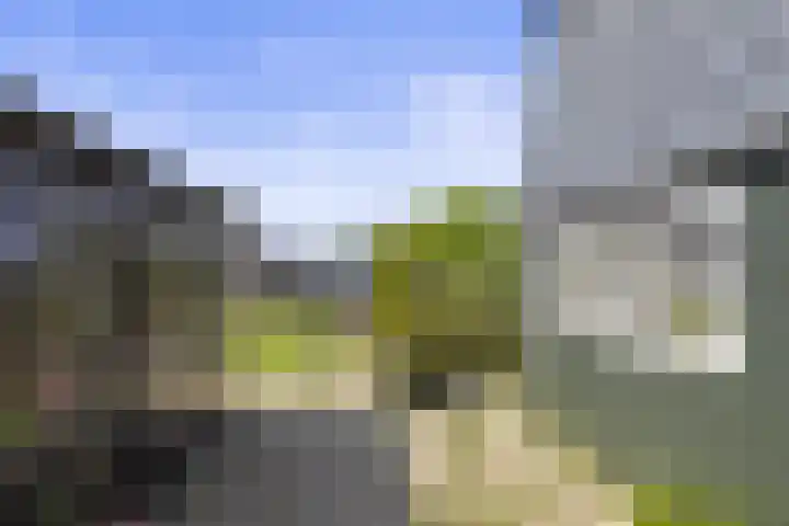 Park De Horn 766 Dirkshorn thumbnail 19