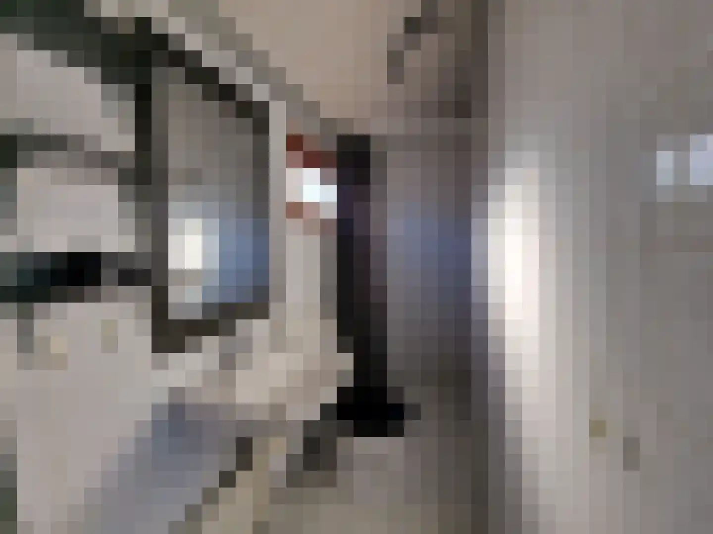 Park De Horn 809 Dirkshorn thumbnail 5