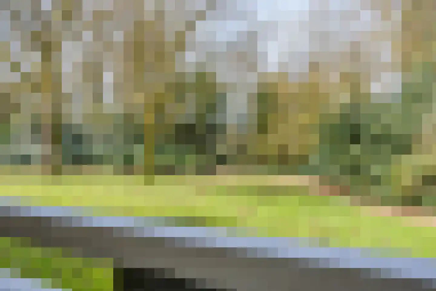 Park de Kotten 153 Enschede thumbnail 17