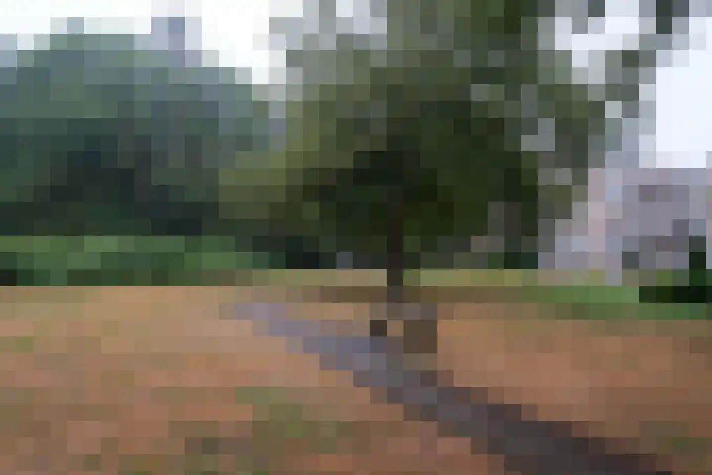 Park de Kotten 225 Enschede thumbnail 24