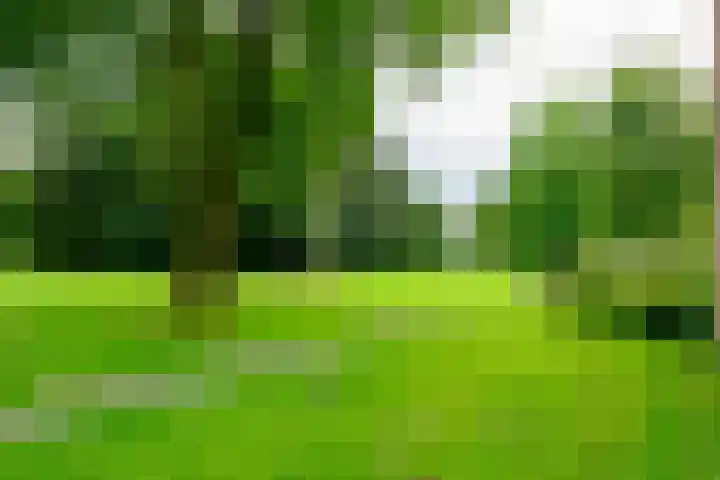 Park de Kotten 240 Enschede thumbnail 5