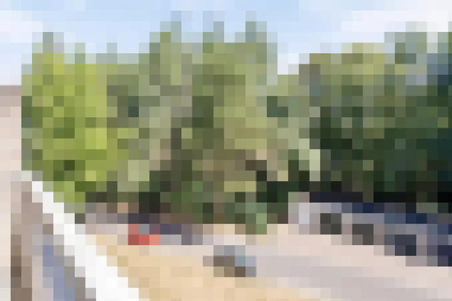 Park de Kotten 252 Enschede thumbnail 18