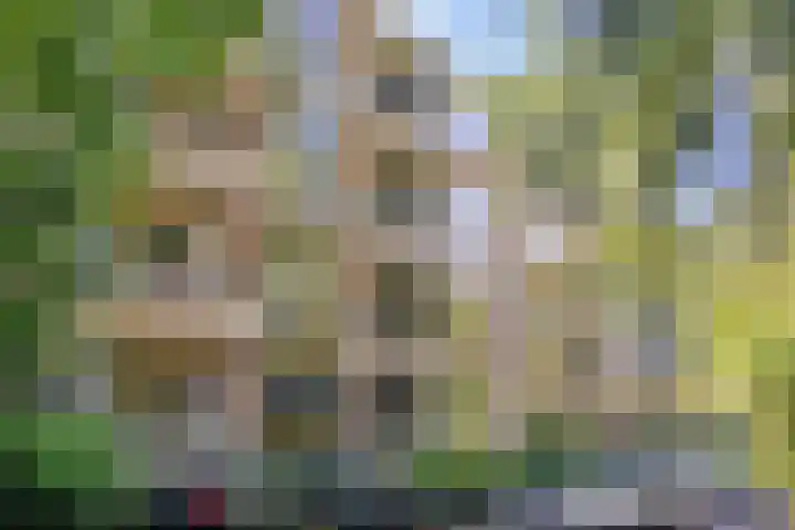 Park de Kotten 82 in Enschede