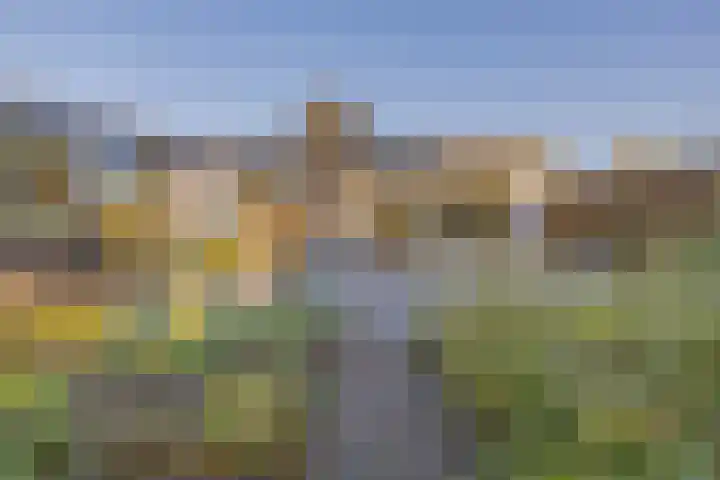 Park De Moucheron 25 Middelburg thumbnail 47
