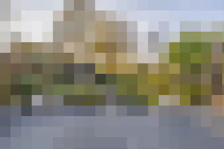 Park De Moucheron 25 Middelburg thumbnail 51