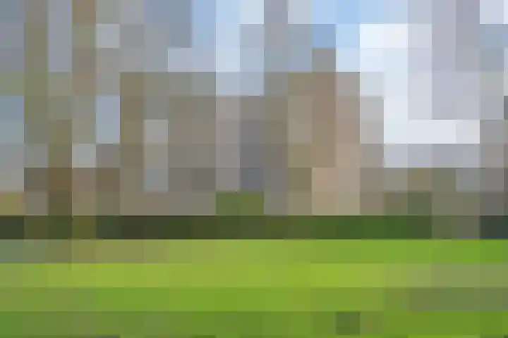 Park de Werve 11 Voorburg thumbnail 26