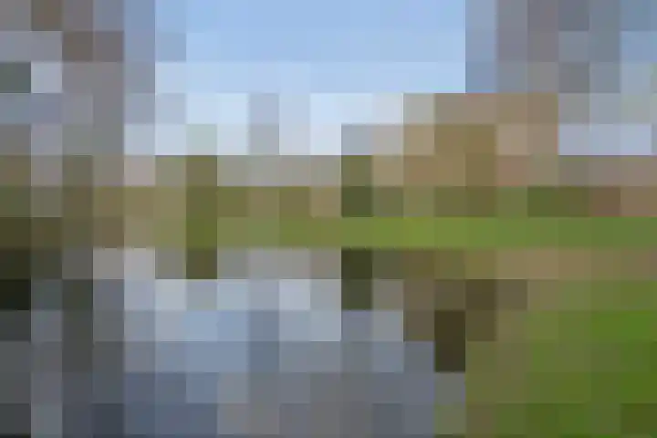 Park de Werve 11 Voorburg thumbnail 28