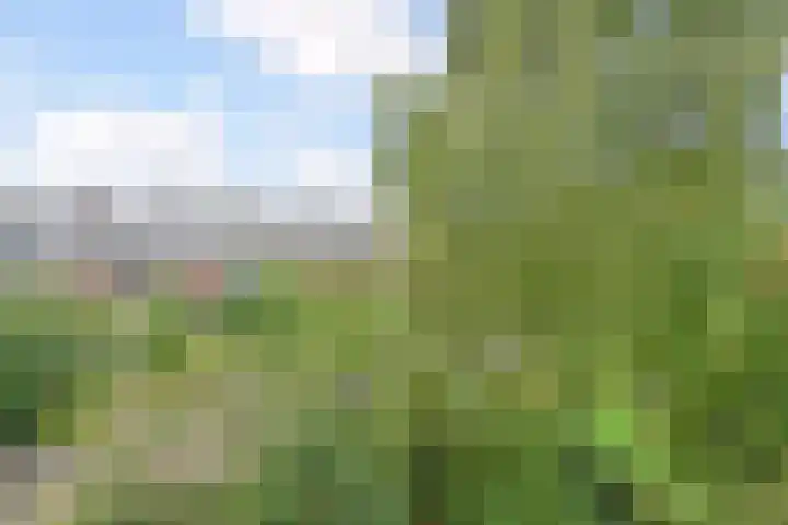 Park de Werve 17 Voorburg thumbnail 30
