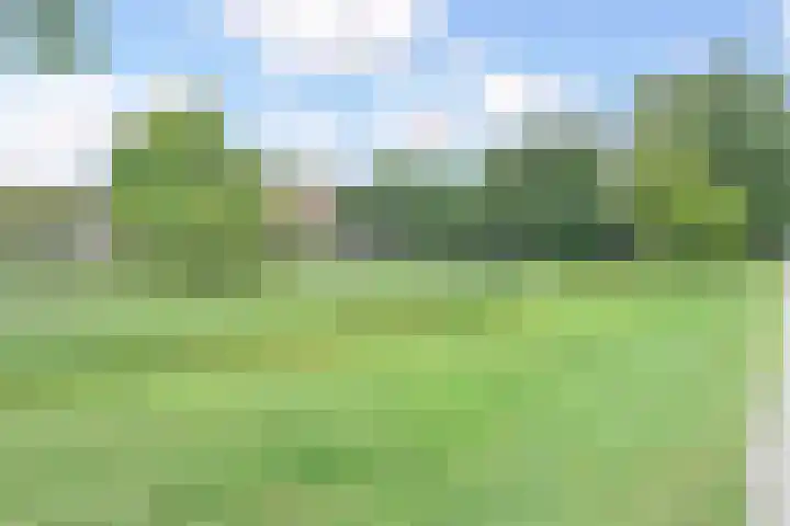 Park de Werve 17 Voorburg thumbnail 34