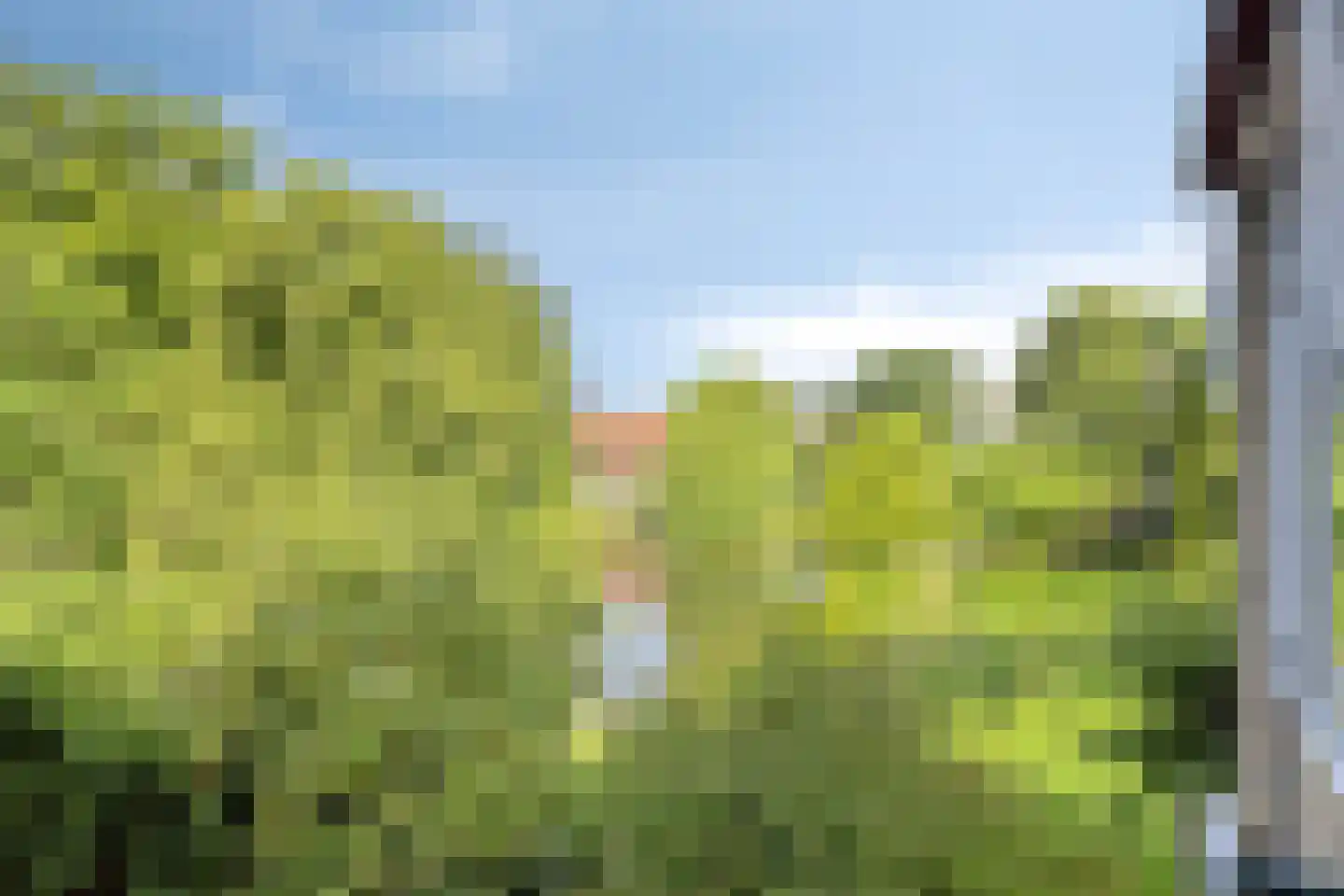 Park de Werve 19 Voorburg thumbnail 10