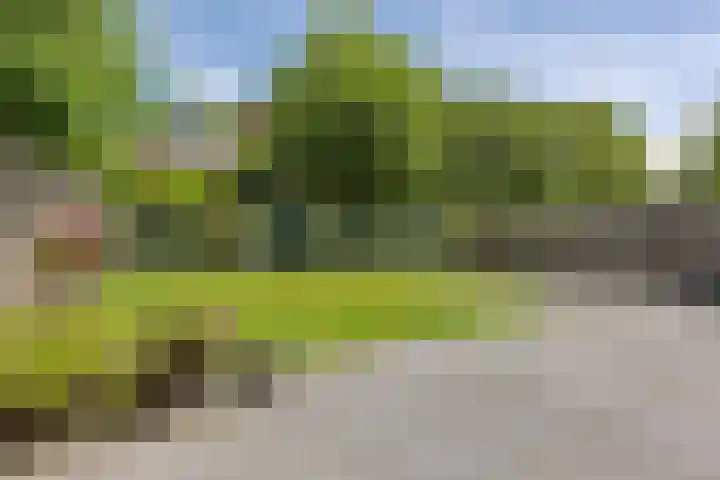 Park de Wervelaan 23 Rijswijk thumbnail 4